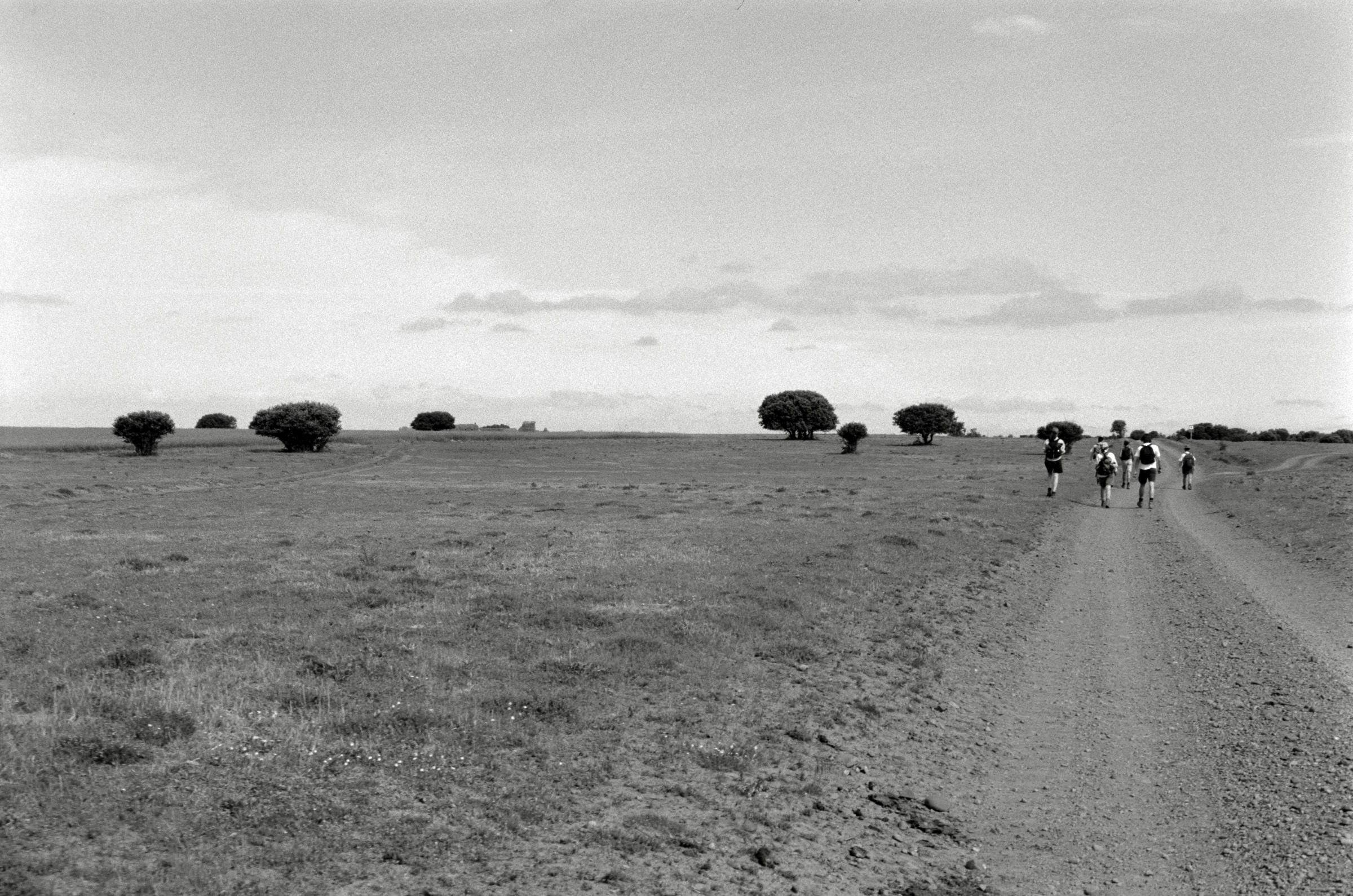 AHP F1995 05 009 sc240826 img06 NLP